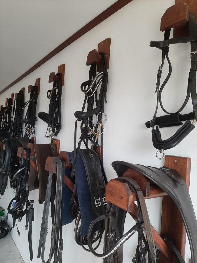 'T Wolthoes Vlagtwedde Dış mekan fotoğraf